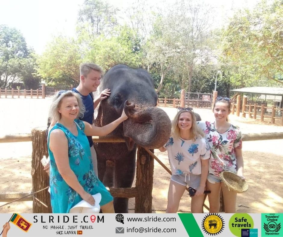 Sri Lanka chauffeur service - lush green landscape