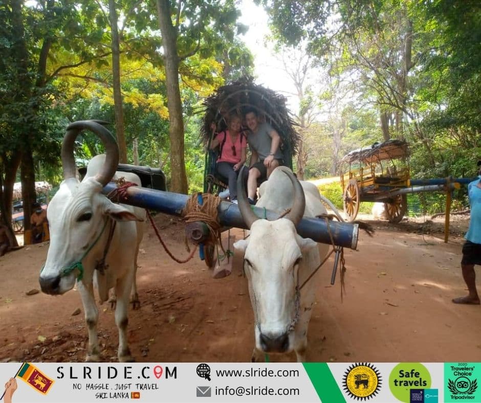 Chauffeur hire Sri Lanka - wildlife safari route