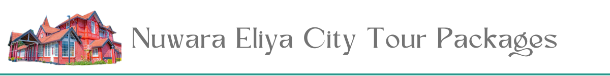 Nuwara Eliya City Tour