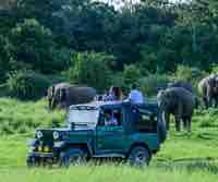 Tour Itineraries In Sri Lanka