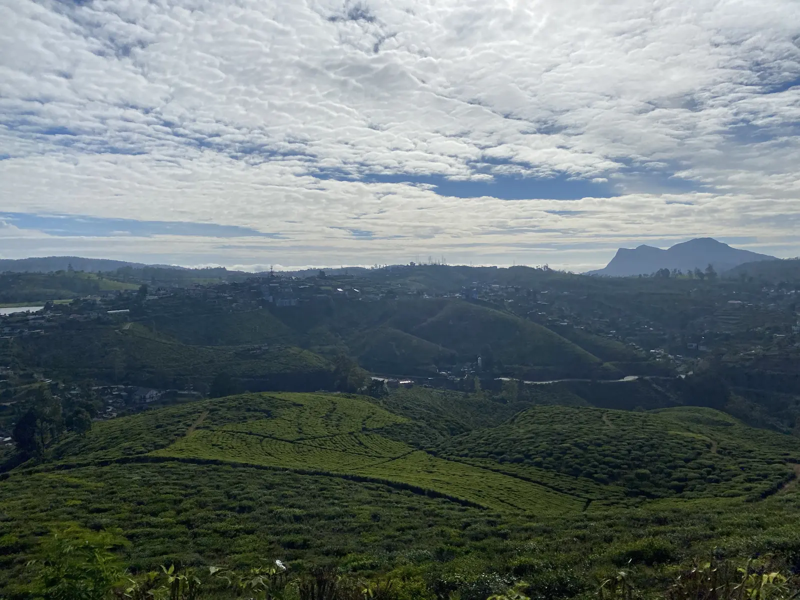 nuwara eliya city tour