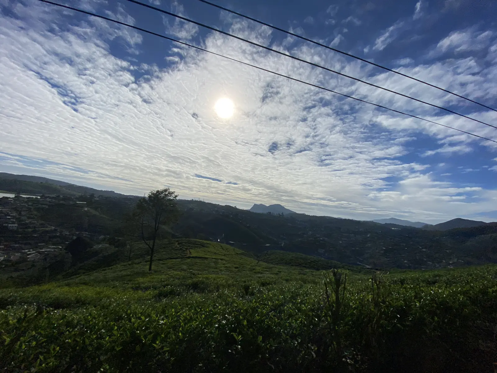 nuwara eliya city tour